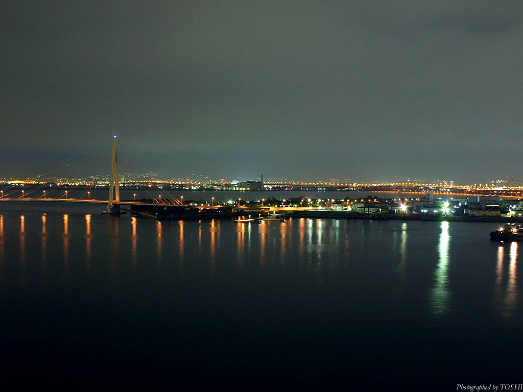 北港・阪神間の夜景