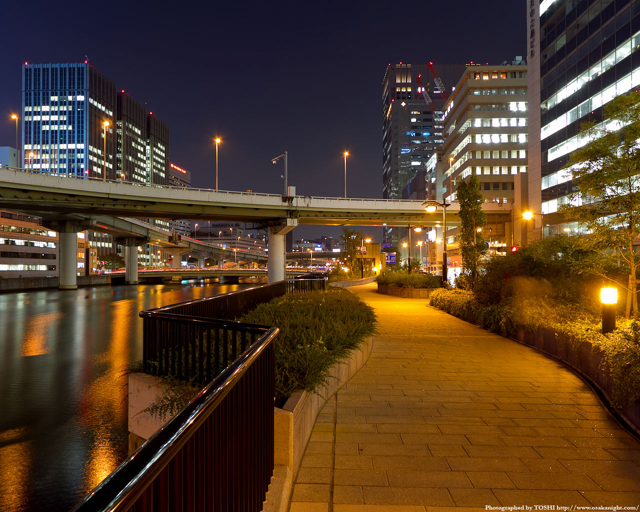堂島川の遊歩道夜景